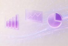 数据洞察在商务决策中的具体应用案例-Raccoon