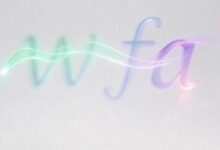 AI资产管理的核心功能是什么？-Raccoon