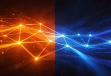 如何通过AI进行个性化信息分析？-Raccoon