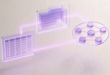 企业如何通过个性化写作提升品牌内容输出?-Raccoon