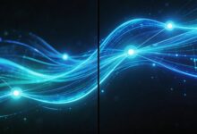 哪些因素影响AI分析信息的准确性？-Raccoon