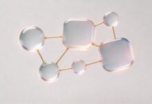 如何利用AI做个性化方案生成？-Raccoon