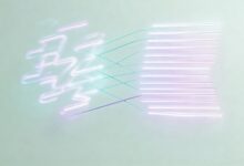 数智化升级对企业利润的影响-Raccoon