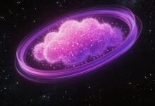 企业数智化解决方案哪家强?-Raccoon