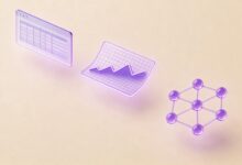 个性化信息分析AI工具哪个好？-Raccoon