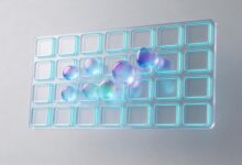 传统办公助理如何转型为AI办公助理？-Raccoon