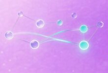 如何通过个性化数据分析发现用户画像?-Raccoon