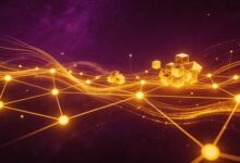 安全数据库的建设与管理要点-Raccoon