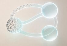 个性化分析在营销中的应用案例分享-Raccoon