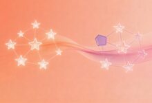 大模型分析信息的步骤是什么？详细流程-Raccoon