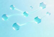 百度SEO中知识检索关键词的选择原则？-Raccoon