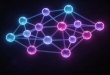 智能分析系统部署需要多长时间？实施周期评估标准-Raccoon