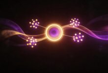 哪些行业适合使用专属知识库？-Raccoon