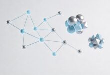 怎么写个性化方案满足用户需求？-Raccoon