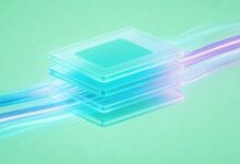 通过个性化分析提升业务决策的方法-Raccoon