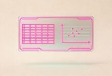 网络数据分析怎么抓包?Wireshark入门教程-Raccoon