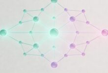 智能规划系统私有化部署成本-Raccoon