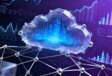 数智化转型企业要注意什么-Raccoon