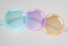 AI在个性化内容生成中的最新进展-Raccoon