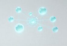 商务数据与分析：中小企业必备的5个分析维度-Raccoon