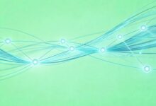 多模态合成数据 quality check？-Raccoon