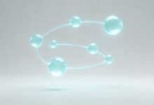 AI智能规划的离线使用解决方案：无网络环境下的策略-Raccoon