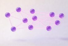 如何通过AI实现个性化方案的自动化生成与评估？-Raccoon