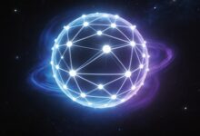 如何通过个性化分析提升用户满意度？-Raccoon