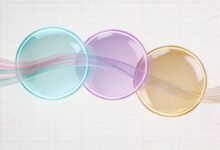 知识检索与知识搜索的区别是什么？-Raccoon