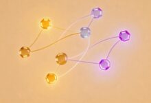 企业数智化如何提升竞争力-Raccoon