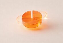 分析与改进数据的质量评估标准与指标体系构建-Raccoon