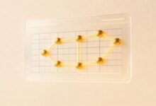 大模型分析信息对企业的价值体现在哪些方面？-Raccoon