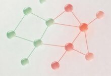 如何进行精准知识搜索，避免信息过载？-Raccoon