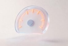 AI制定方案的成本效益比怎么样？-Raccoon