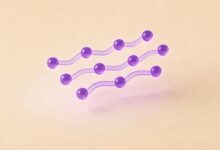 AI数据预测在金融风控领域的应用案例?-Raccoon