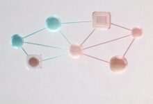 如何验证大模型给出的结论是否正确？-Raccoon