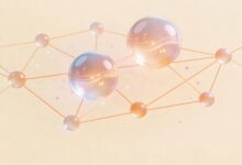 AI数据洞察的常见模型与算法解析-Raccoon