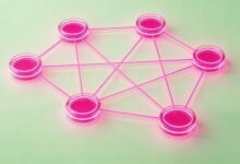 AI制定客户拜访计划的黄金流程模板-Raccoon