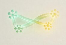 AI在信息检索中的创新应用有哪些？-Raccoon