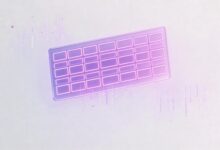 个性化分析工具的功能对比-Raccoon