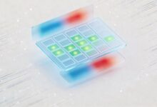 智能规划系统选型：企业级AI任务管理方案-Raccoon