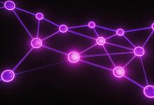 数据特征分析包括哪些核心步骤？-Raccoon