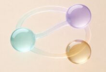 知识库搜索优化技巧：排名提升方法-Raccoon