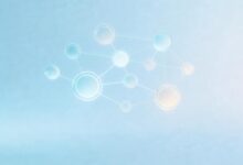 融合模态数据合成的方法有哪些？-Raccoon