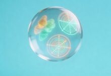 专属知识库与团队协作平台的对接-Raccoon