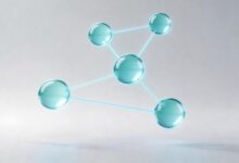 数据对比分析的时间维度选择-Raccoon