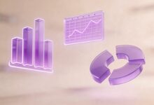 数智化升级对企业业务的影响-Raccoon