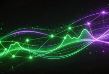 数据分析大模型在金融风险评估中的应用案例-Raccoon