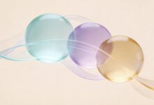 AI办公助手下载与安装步骤详解-Raccoon