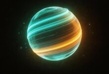 AI文档解析与OCR技术的结合使用-Raccoon